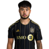 Player cutout