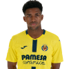 Player cutout