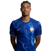 Player cutout