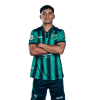 Player cutout