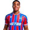 Player cutout