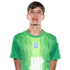 Player cutout