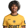Player cutout
