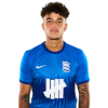 Player cutout