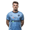 Player cutout