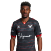 Player cutout