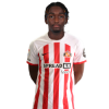 Player cutout