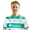 Player cutout