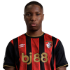 Player cutout