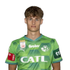 Player cutout