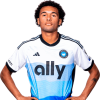 Player cutout
