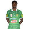 Player cutout