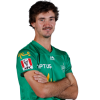 Player cutout