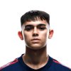 Player cutout