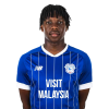 Player cutout