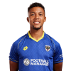 Player cutout