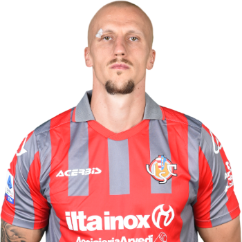Vlad Chiriches profile image