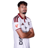 Player cutout