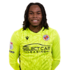 Player cutout
