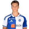 Player cutout