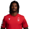 Player cutout