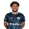 Player cutout
