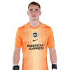 Player cutout