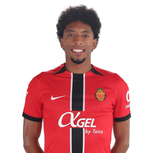 يوهان موخيكا