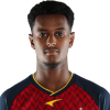 Player cutout