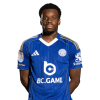 Player cutout
