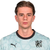Player cutout
