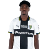 Player cutout