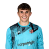 Player cutout