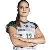 Player cutout