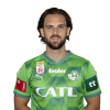 Player cutout