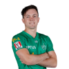 Player cutout