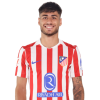 Player cutout