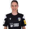 Player cutout