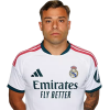 Player cutout
