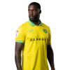 Player cutout