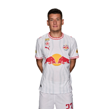Damir Redzic profile image