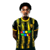 Player cutout