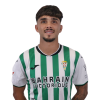 Player cutout