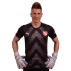 Player cutout