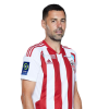 Player cutout