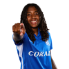 Player cutout