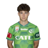 Player cutout