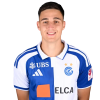 Player cutout