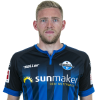 Player cutout