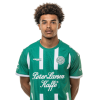 Player cutout